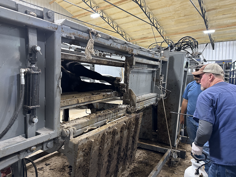 Farm Visits 79 highway 49<br />Tennessee Ridge, TN 37178